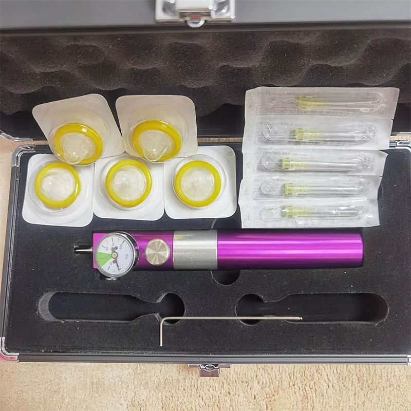 Portable CDT Injectable Carboxytherapy Device Stretch Marks Removal Carboxy Therapy System Eye Wrinkle Injection Skin Care Tools 3