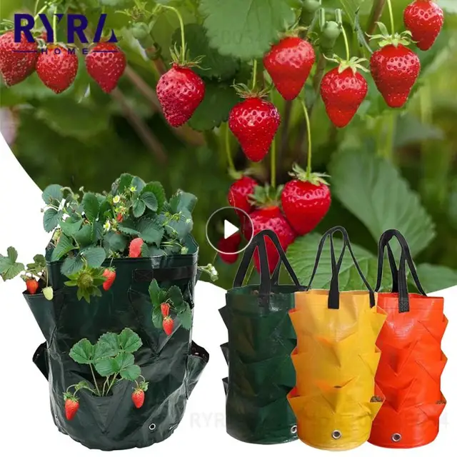 Eper Termesztés Táskák Pe Zöldség Ültetvényes Táska Diy Szövet Termesztett Edény Kültéri Kerti Edények Szerszámok Vegetáriánus Kellékek