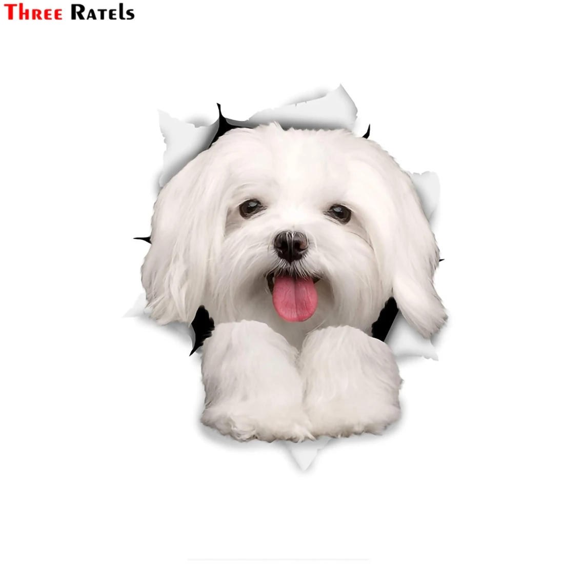 Three Ratels 1057 3D animal stickers Lion dog Jiwa Teddy dog PVC household decoration wall stickers toilet decals wall stickers toilet stickers self adhesive wall stickers vinyl stickers vinyl wall stickers self adhesive stickers