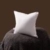 Quality Goose Down Cushion Pillow Core 35*55/70*70/60*60 /55*55/45*45/48*74/65*65cm Head Waist Pillow Goose Down Filler Cushion 6