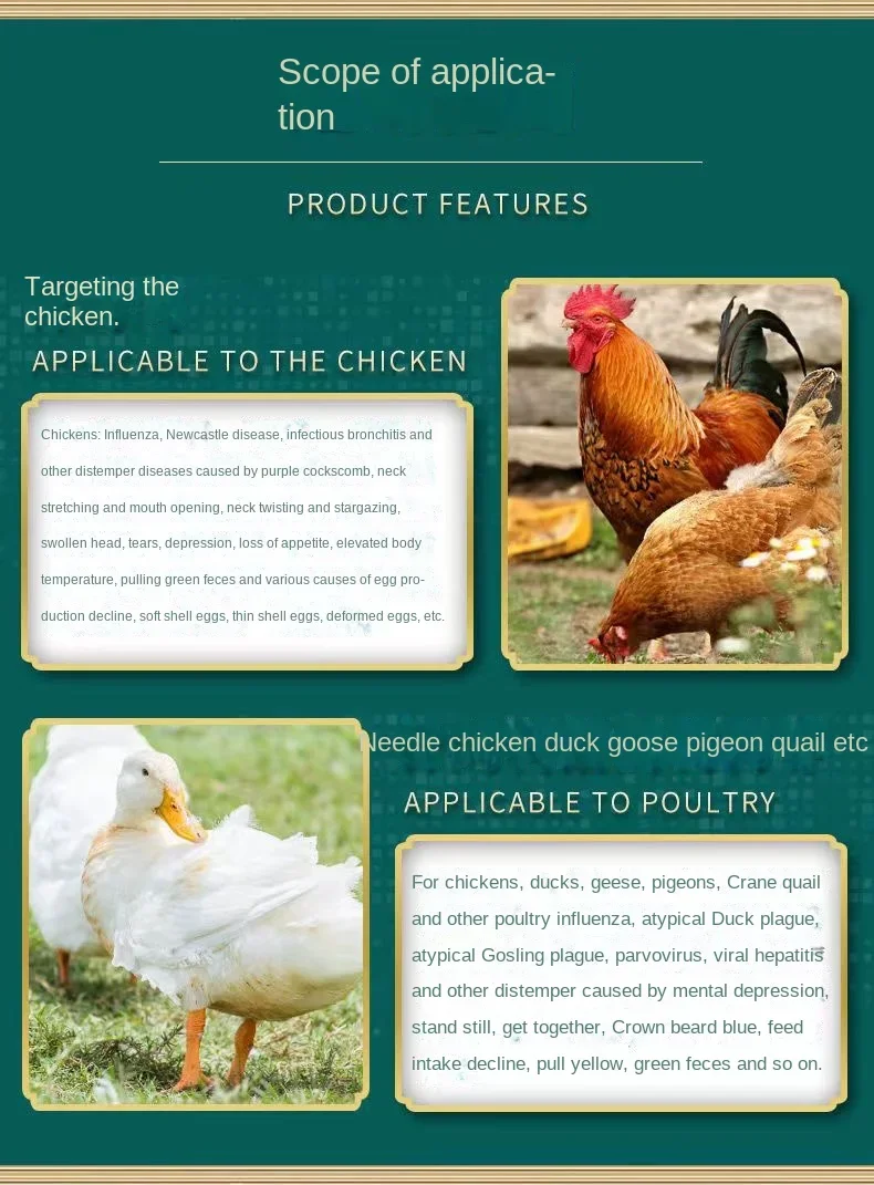 Chicken duck poultry with pigeon quail swollen head face distention crooked neck appetite loss yellow green stool taurine