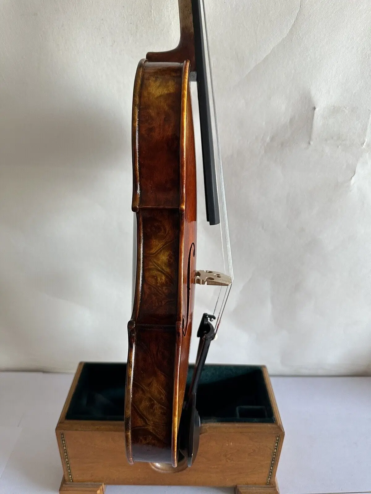 Master 4/4 Violin Bird Eye Maple Wood Back Old Spruce Top Hand Carved K3201