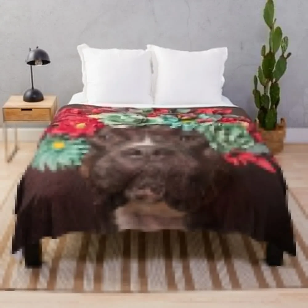 

Цветочная сила, Молли бросать одеяло Flannels для зимних одеял палочки фланелевые одеяла