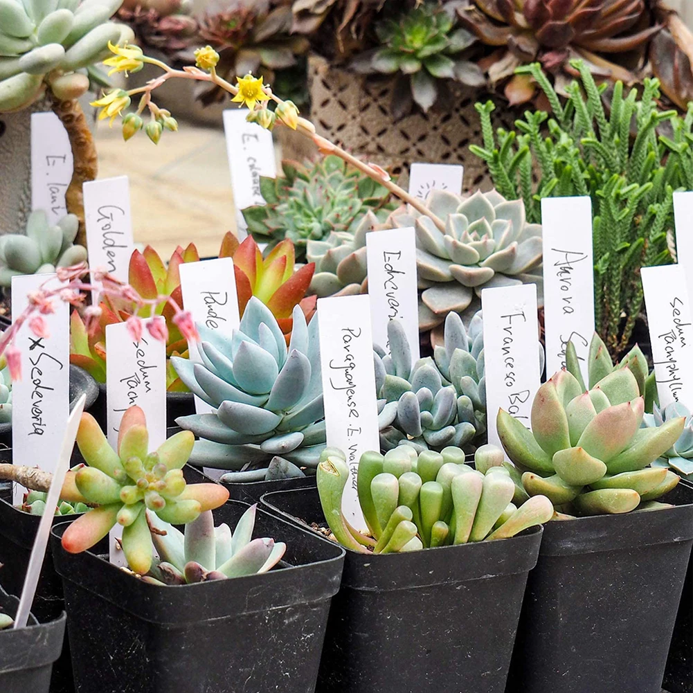 

100pcs Garden Plant Labels Plant Accessories Flower Pots Plastic Plant Tags Nursery Markers Label Tray Mark DIY Tool