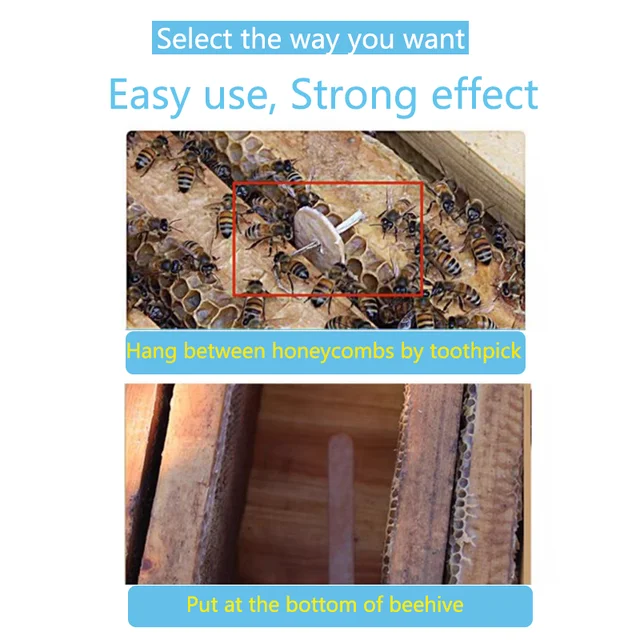 Wangshi Chaojing 10 -Oltó Viasz Lepkék Kezelése Facsíkok A Méhkapán Lepkékhez - Image 4