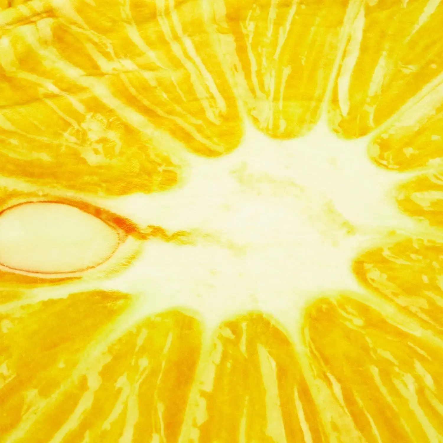 ���� �� �Ƶ��� �������̰� ����ִ� ���� ���, ���� ���� ���, ����, ����, ħ�� �� ����ִ� ������ ����