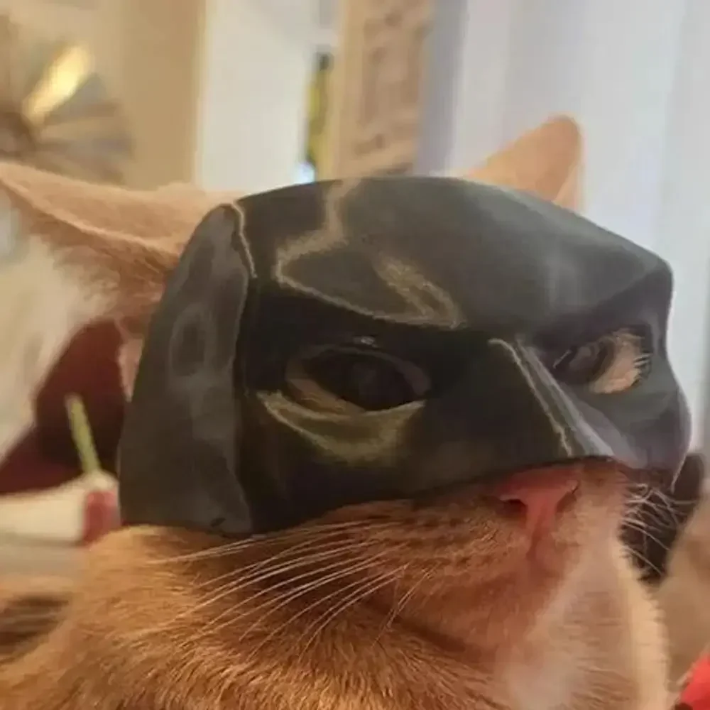 Pet Toys Cat Bat Mask