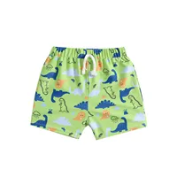 Hedgehog Bathing Suit Toddler Kids Infant Baby Boys Summer Print Shorts Beach Swimwear Swimming Trunks Boys Bathing Suits Size 8 2