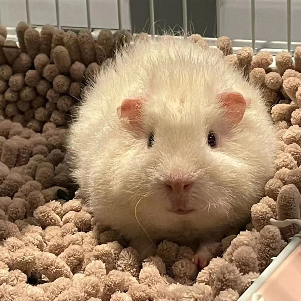 Soft Plush Cozy Small Pet Cushion Sleeping Bed Mat for Hamsters Guinea Pig Portable Warm Mat for Small Animals Pet Cage Supplies pet sleeping bed pet sleeping mat