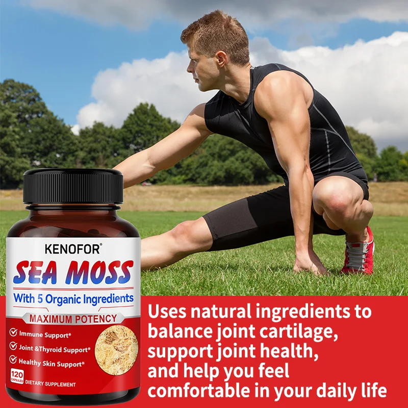 Organic Sea Moss, Fucus Extract-Supports Skin, Joint and Digestive Health, Weight Management, Aids in Weight Loss