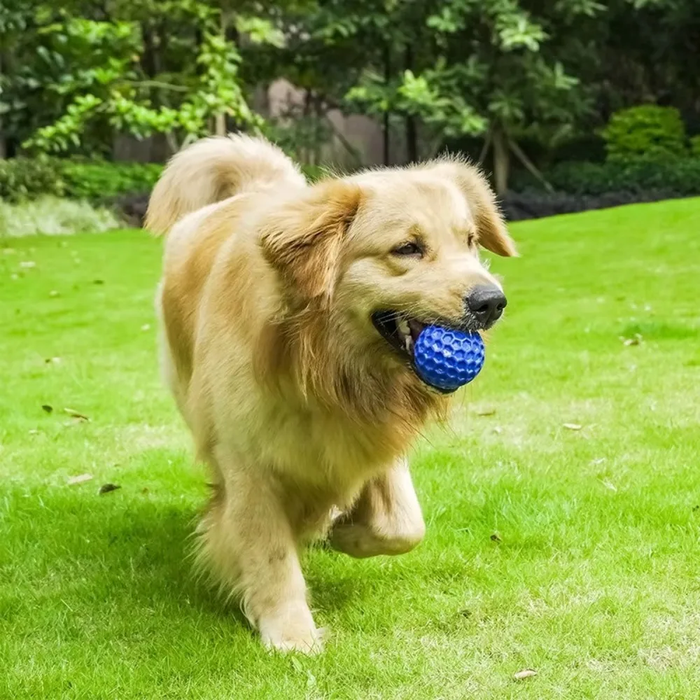 New Dog Toys Bite Resistant Interactive Throwing Sound Honeycomb Balls Natural Rubber Teething Clean Teeth Toys Pet Products 5
