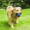 New Dog Toys Bite Resistant Interactive Throwing Sound Honeycomb Balls Natural Rubber Teething Clean Teeth Toys Pet Products 5