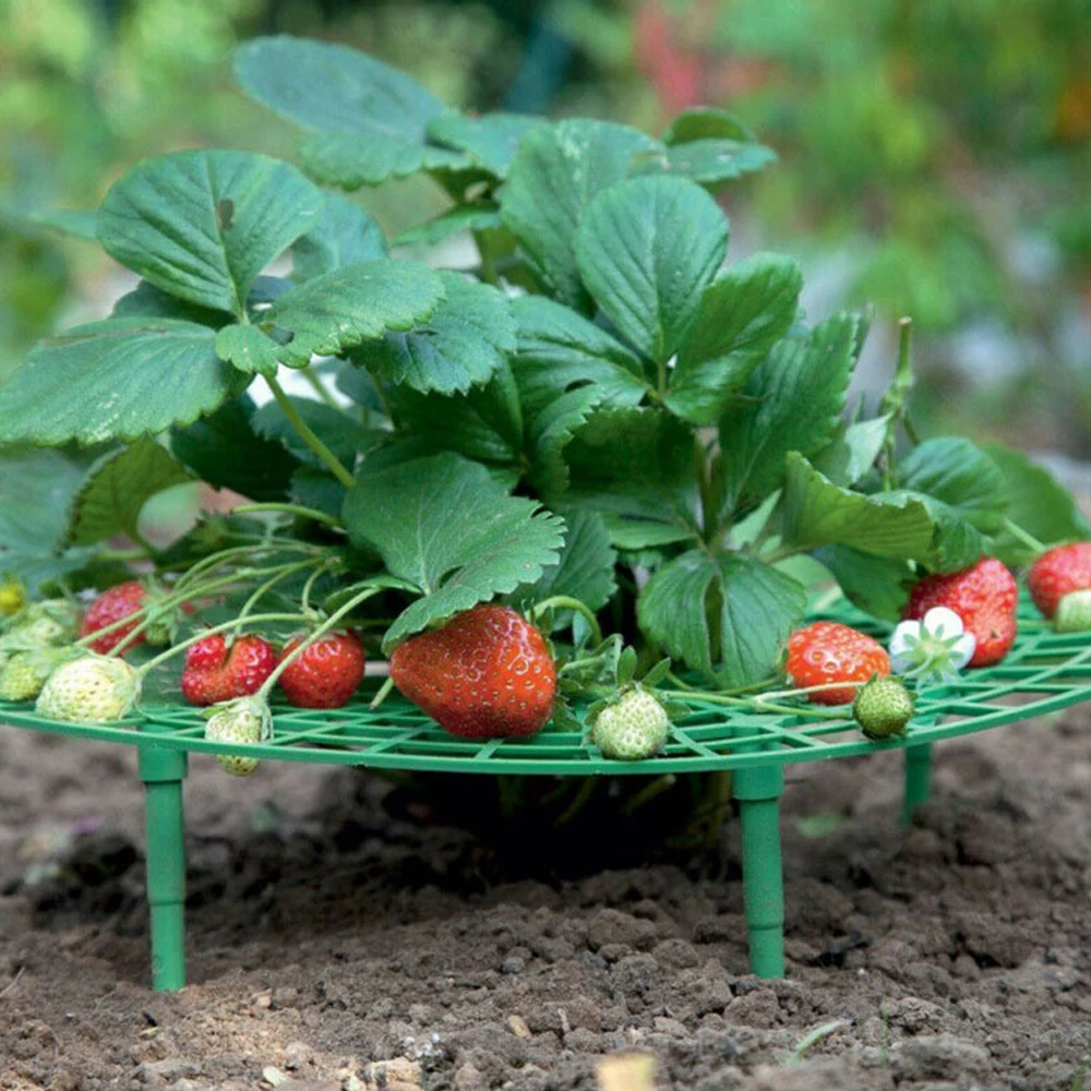 Strawberry Stand Frame Holder Balcony Planting Rack Fruit Support Plant Flower Climbing Vine Pillar Gardening Stand