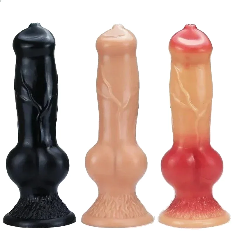 dsc-products