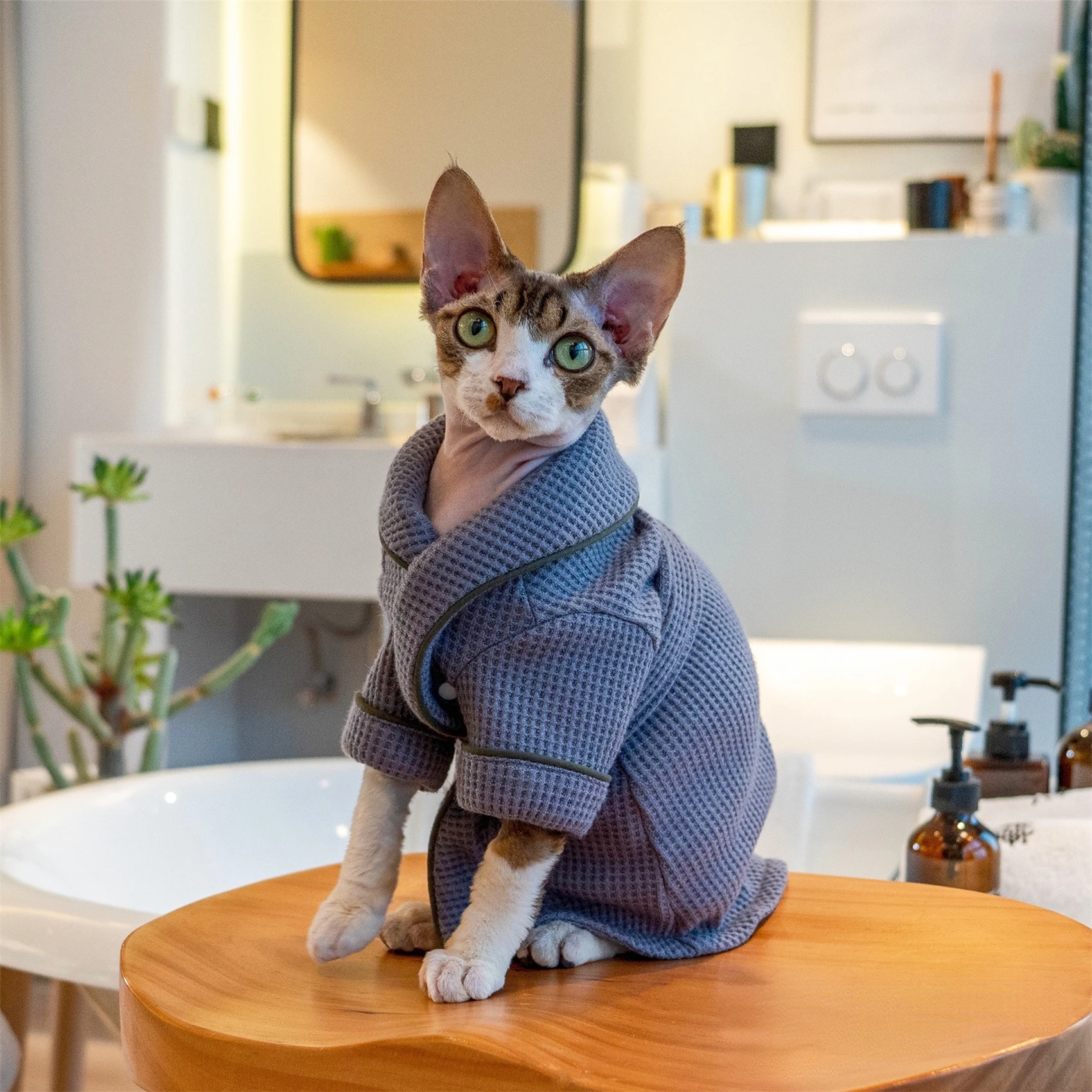 Pet Bathrobe Bath Towel Soft Absorbent Cat Clothes Hairless Cat Clothes Pure Cotton Autumn and Winter Sphynx Cat Clothes