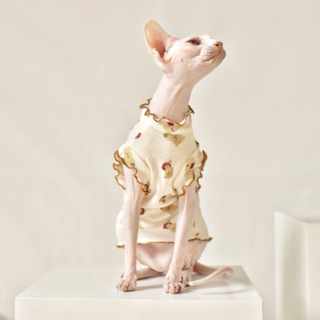 

Summer thin sleeveless Wing Sphinx hairless cat dress Devon clothes for cats