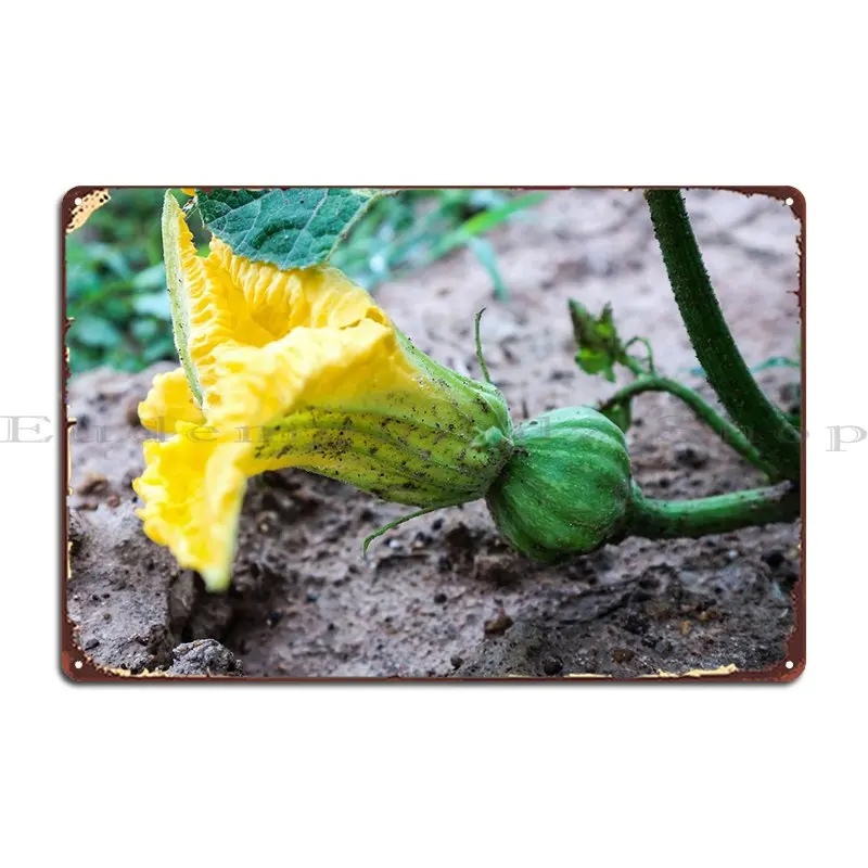 

Just Born Metal Sign Design Classic Club Custom Wall Decor Tin Sign Poster