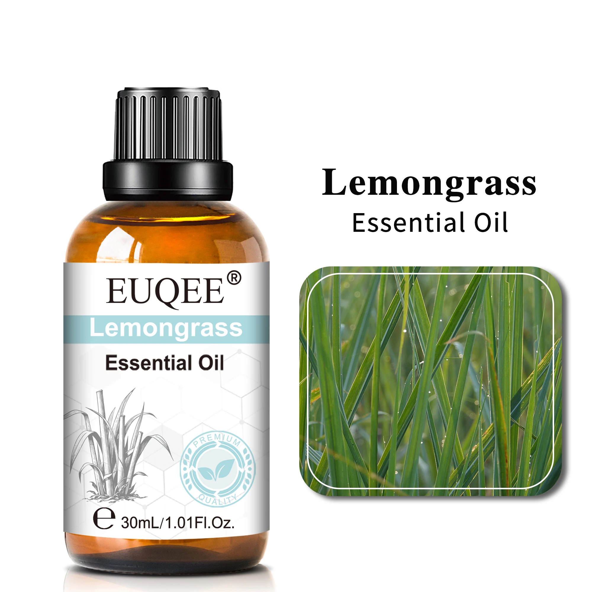 Aromatherapy Bliss: Vanilla, Lavender, Mint & Rose Essential Oil Blend (30ml)