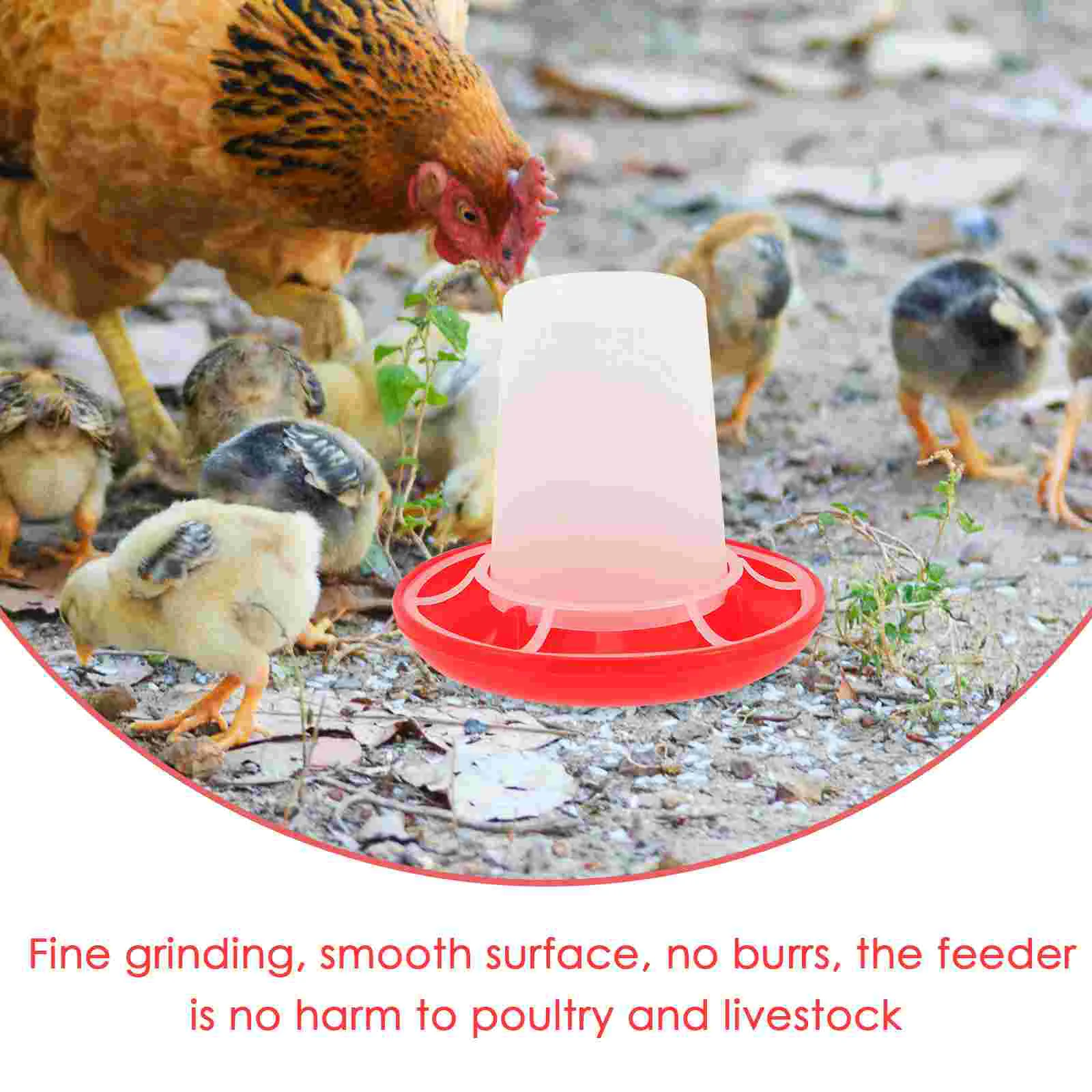 4 Pcs Chick Feeder and Waterer Kit Automatic Chicken Tools Ducks Baby Food Container Hen