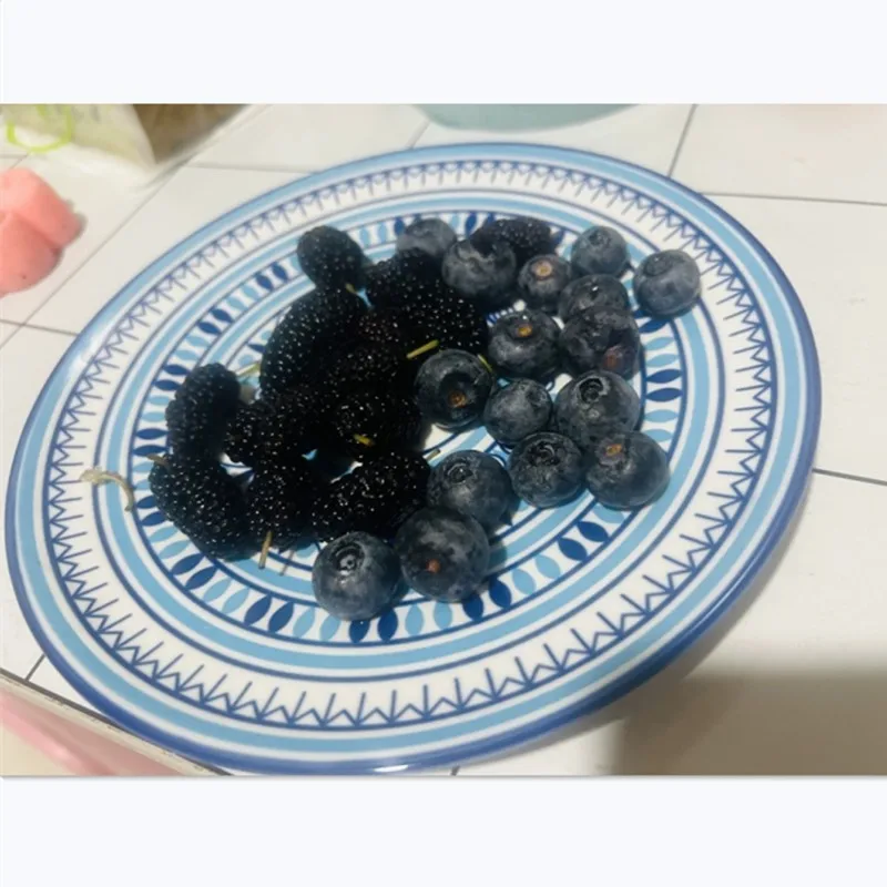 1PC 절묘한 세라믹 접시 라운드 플랫 플레이트 홈 Underglaze 색상 야채 샐러드 접시 과일 요리 주방 저녁 식사 접시