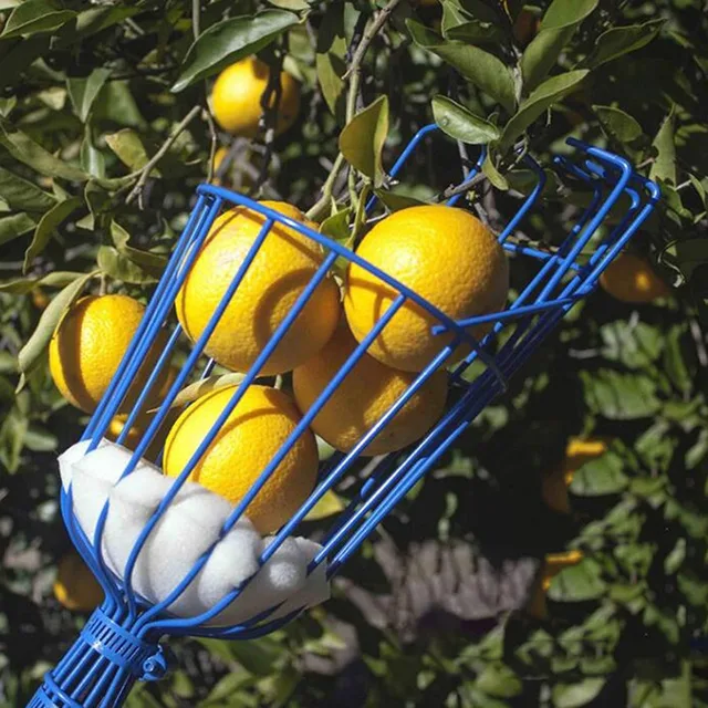 Deep Basket Fruit Picker Head Convenient Fruit Picker Catcher Apple Peach Picking Farm Garden Picking Device Garden tools 4