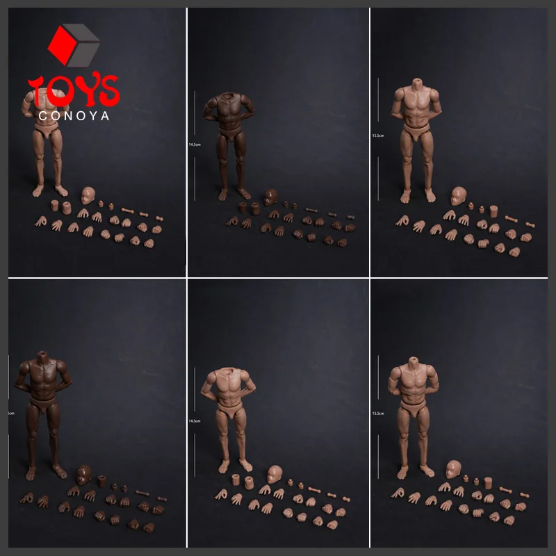 Cuerpo De Figura De Acción Musculoso 1/6 Articulado – Lienzo En Blanco Para Personalizar Muñecas Coleccionables