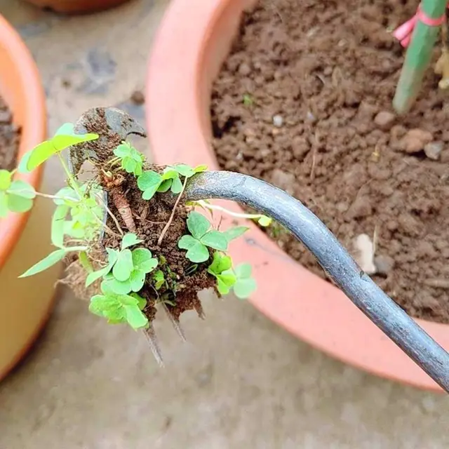 Új Gyomnövényes Műtárgy, Gyomláló Szerszám 4 Fogak Kettős Célú Gyomirtó Fogantyúval A Kerti Udvari Farm Frissítési - Image 4