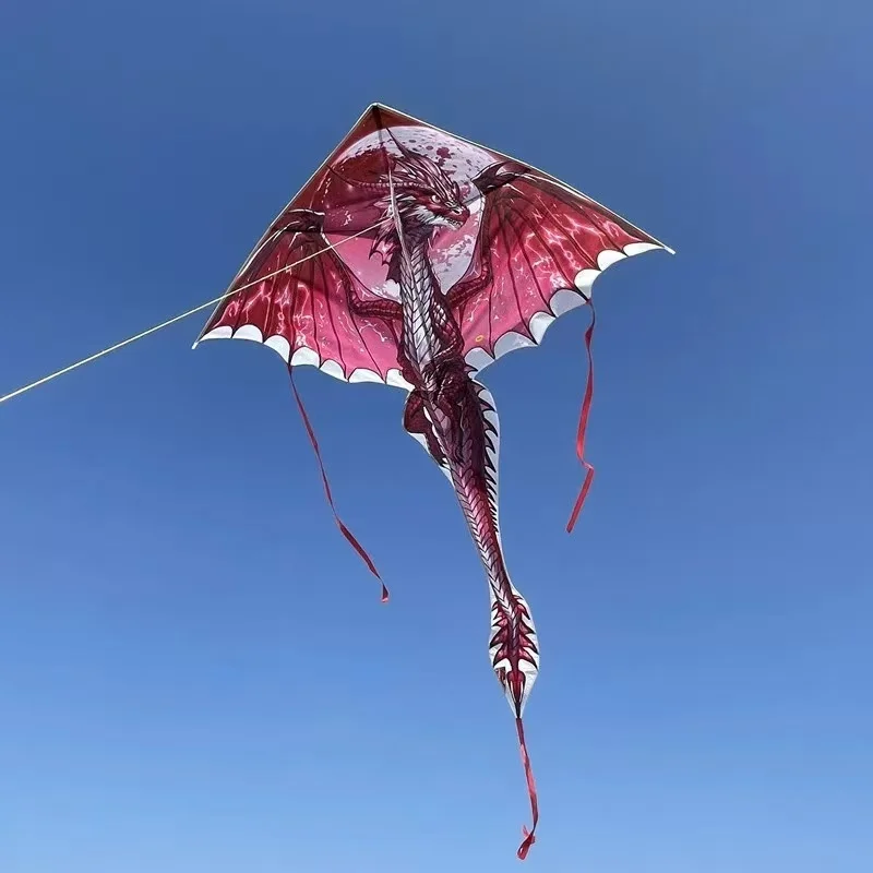 Drachendrachen fliegen für Kinder, Delta-Drachen, Nylongewebe, professionelle Winddrachenlinie, Outdoor-Spielzeug, Fischdrachen, Koinobori-Papalotes – Detail 4