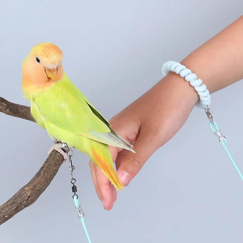 1PC Papagei Release Seil Vogel Leine Ultra Licht Nicht Schädlich Zu Füße Haustier Vogel Papagei Flug Release Seil Vogel strap (Kein Fuß Ring) – Detail 4