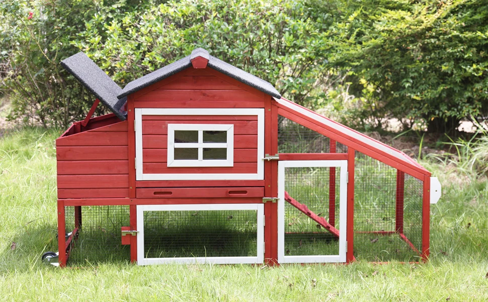 chicken coop