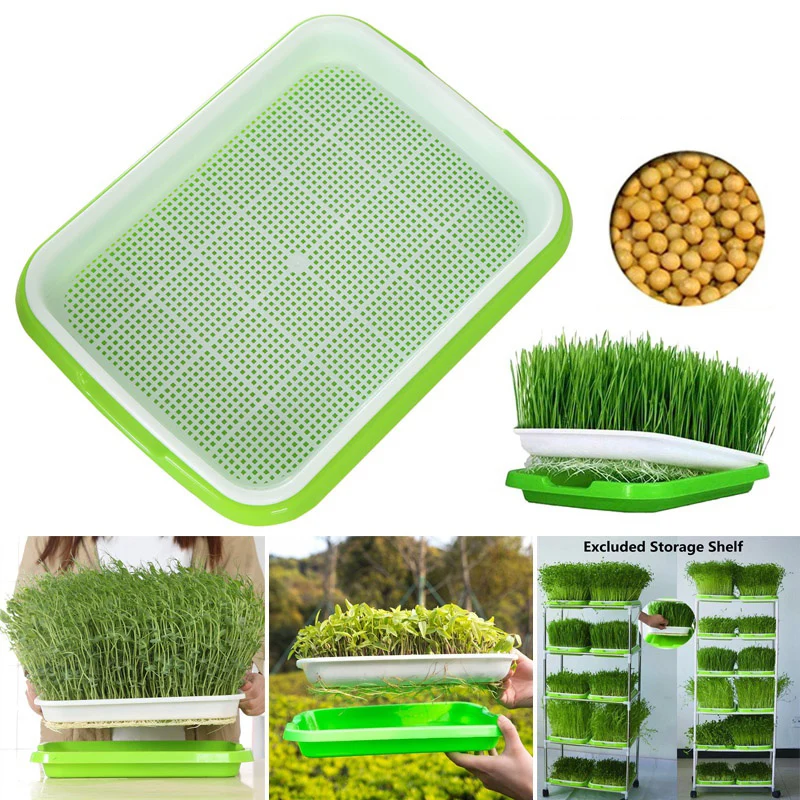 Seed Sprouter Tray Double Layer Soilless Bean Culture Hydroponic Nursery Plate Sprouting Pot Planter Garden Home Plastic Tool