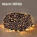 Warm White