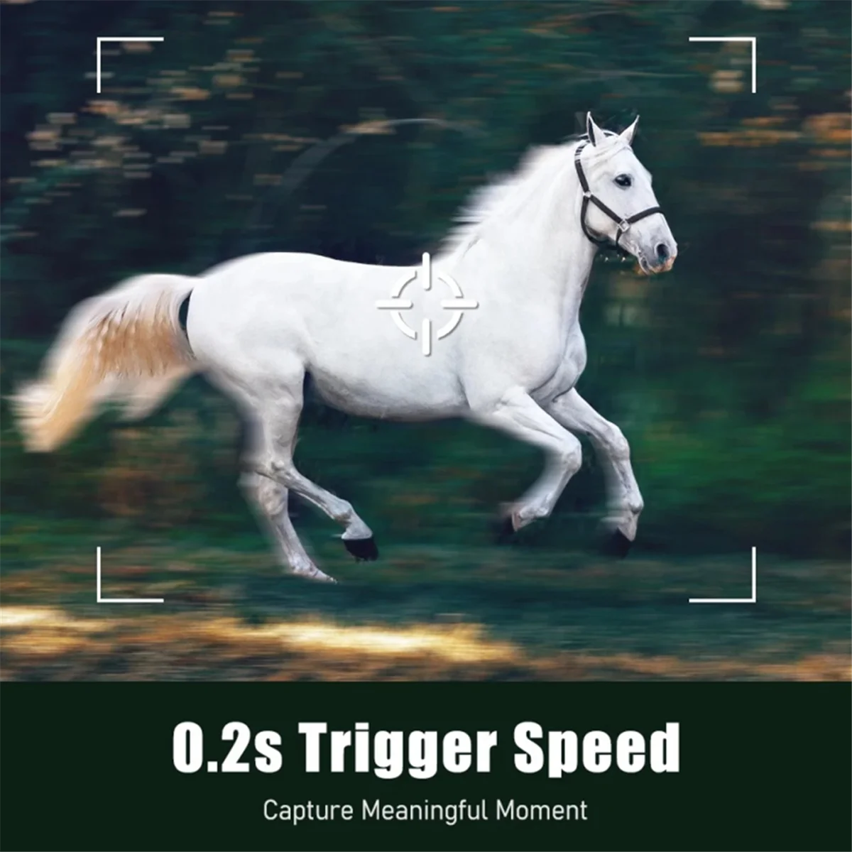 Cellular Solar Hunting Trail Camera 6