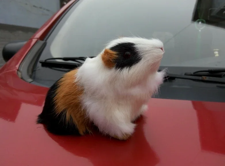 

Pet Guinea Pig Plush Toy Cute Hamster Doll Car Accessories Mascot
