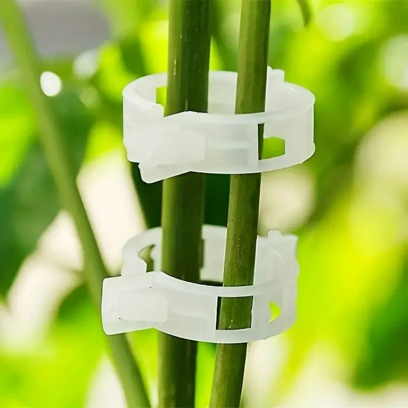 Plant Support Clips Garden Support Clips GrapeVine Tomato Vine Vegetables Plants Trellis Clips To Grow Up 50pcs