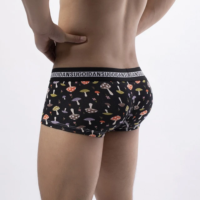 Men Underwear Shorts Boxer Briefs Bulge Pouch Boxers Seamless Brief Long  Johns