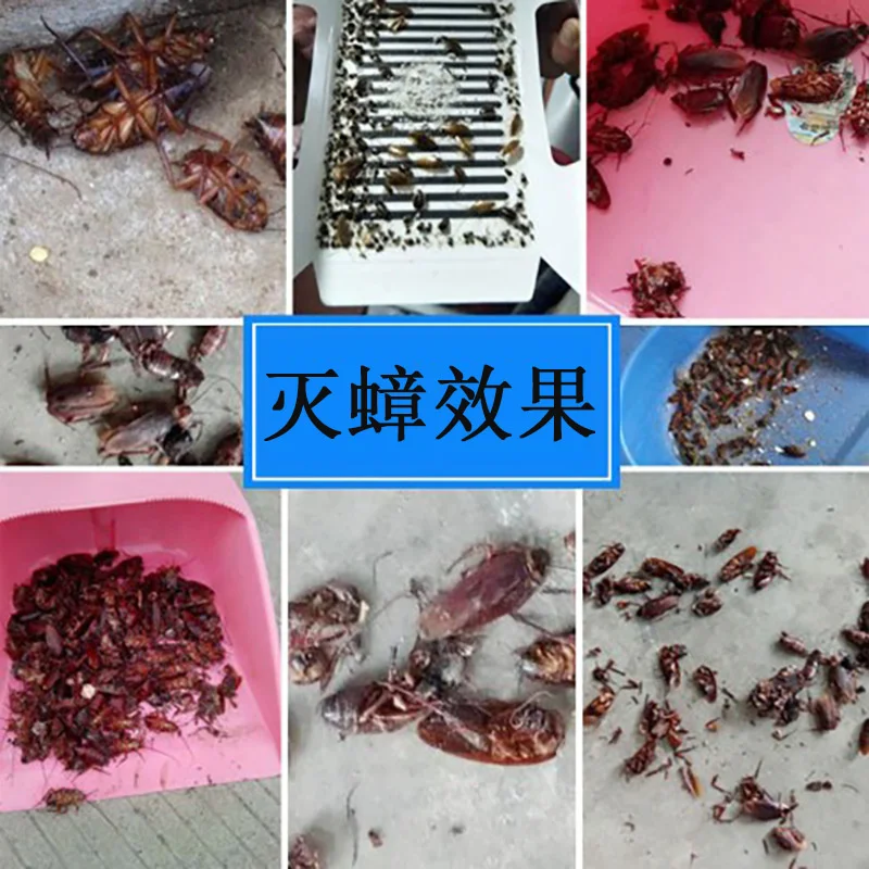 10pc/lot Gel Cockroach Bait for Home Insect Control