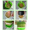 Garden Hydroponic Peanut Sprout Box Bean Pea Wheat Seedling Sprouter Tray Grass 4