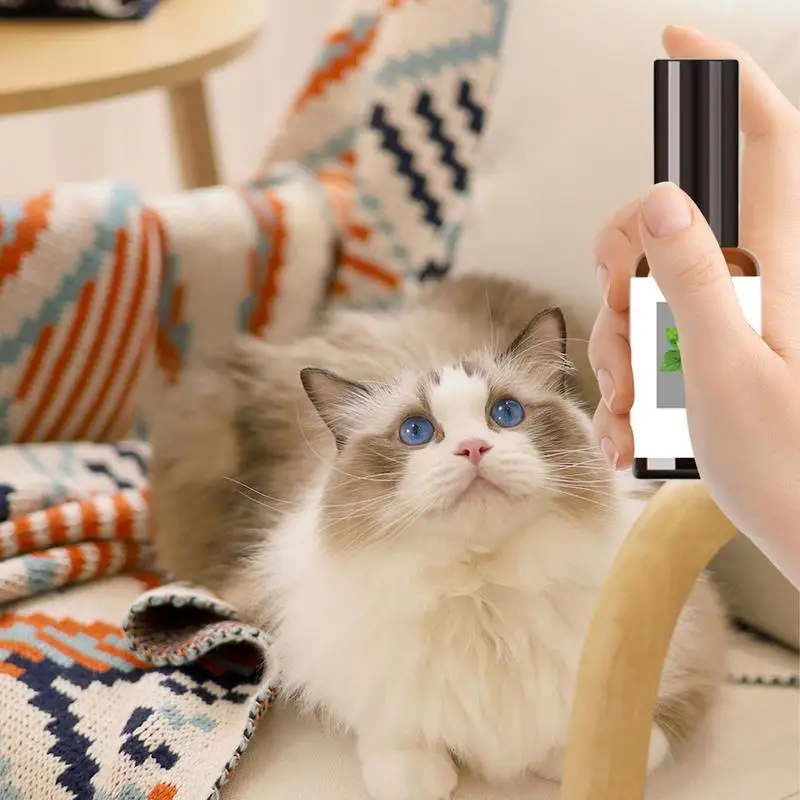 Cat Attract Spray 30ml Joy Cat Spray With Plant Extract Mild Training Tool High Potency Stress Relief Attract Accessories Pet