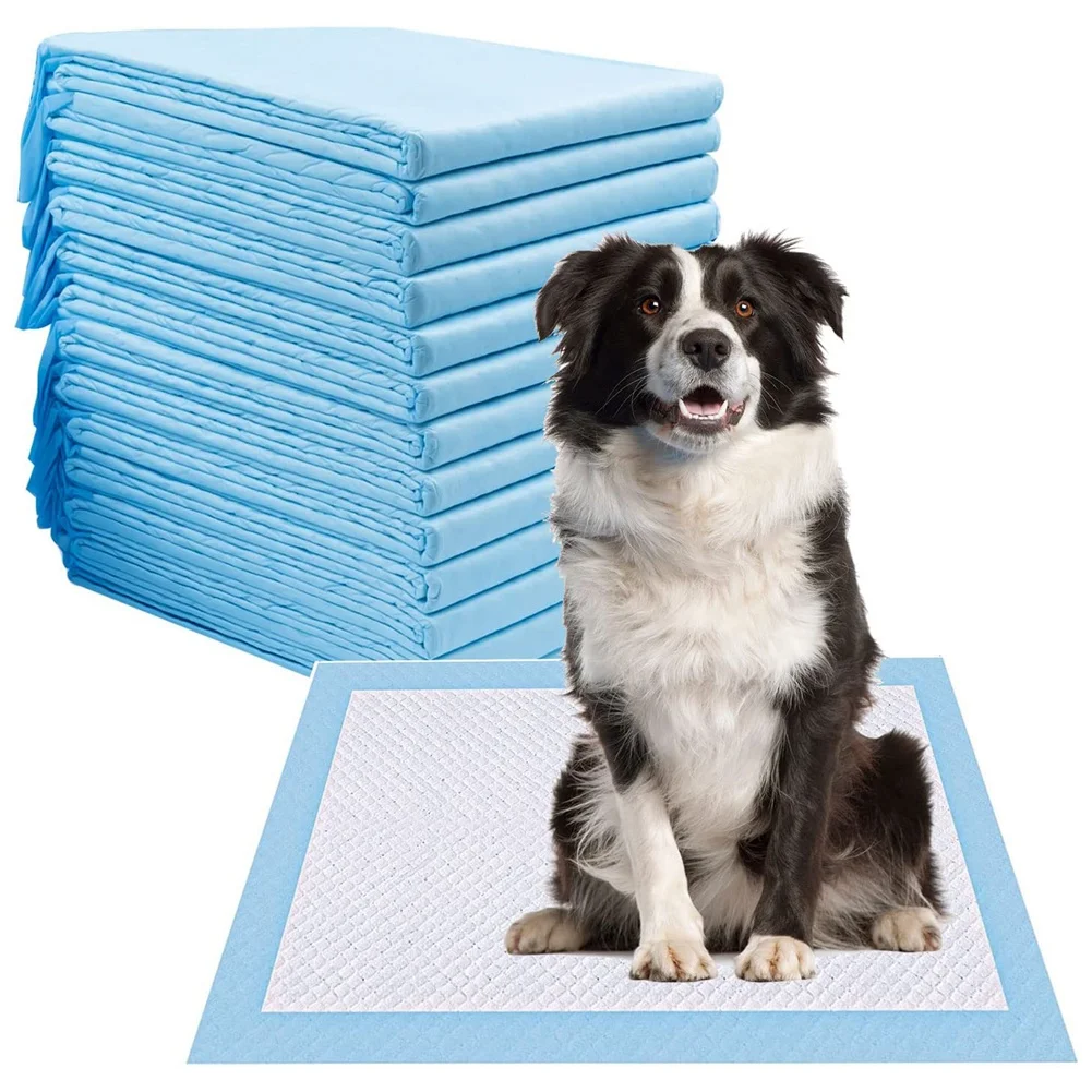 

Dog Pee Pads, Disposable Dogs Training Potty Pads,Pet Training Pads Strong Absorption Floor Mat,24X24 Inch(L 40Pack)