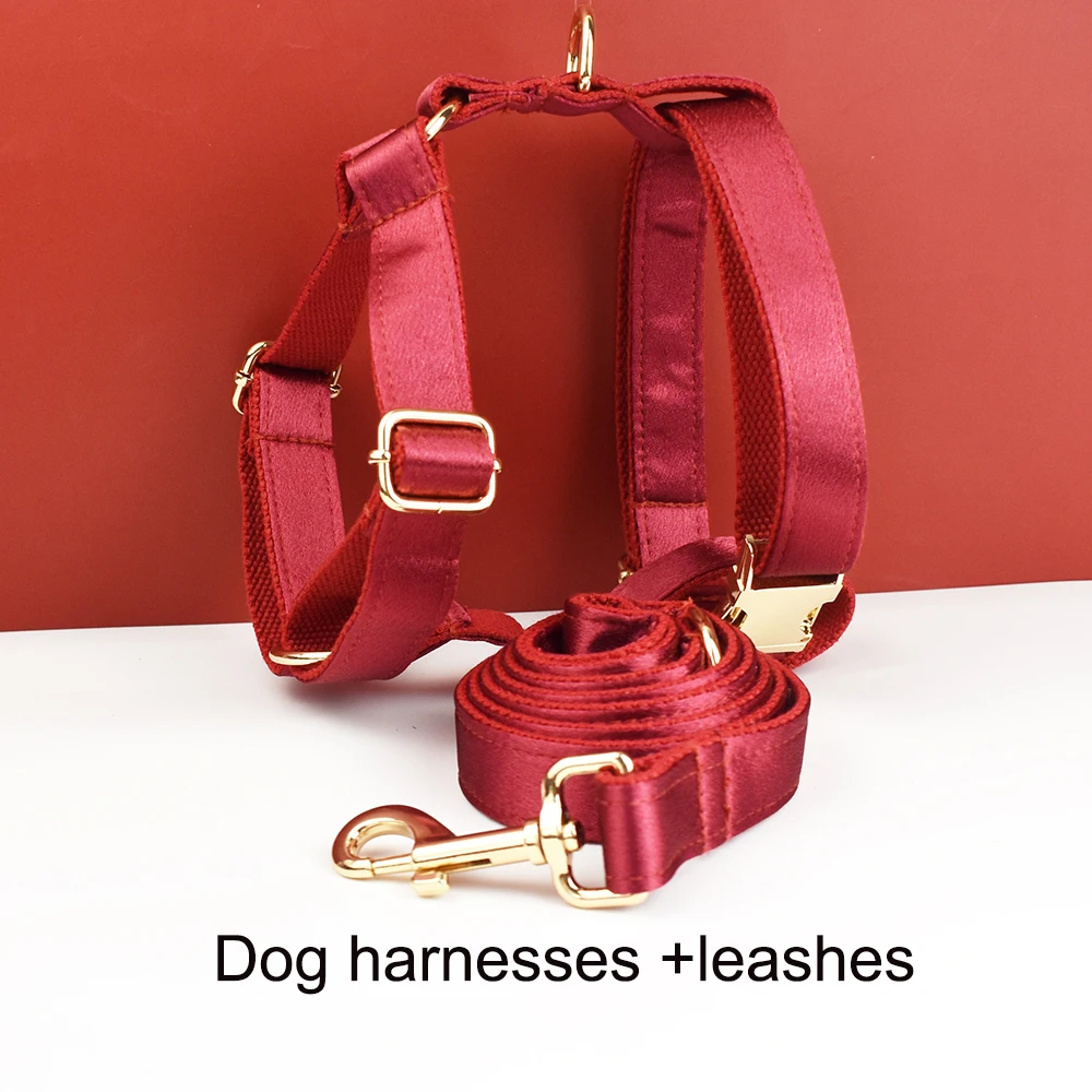 Harness leash