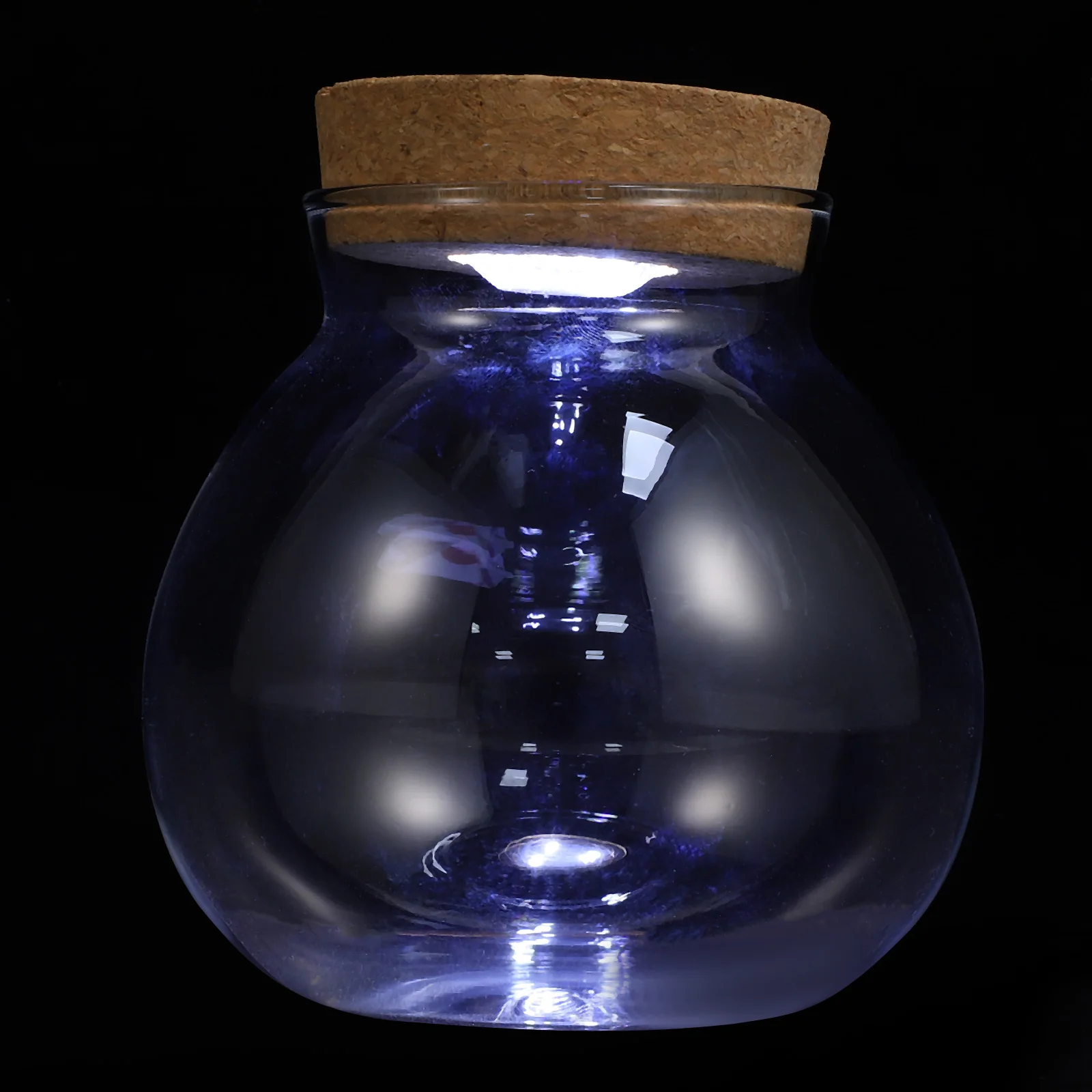Micro Landscape Glass Bottle Vase Mouth Ball Moss Vase Hydroponic Terrarium Container Fish Tank Bottle With LED Light 2