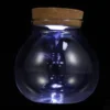 Micro Landscape Glass Bottle Vase Mouth Ball Moss Vase Hydroponic Terrarium Container Fish Tank Bottle With LED Light 2