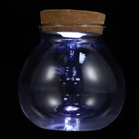 Micro Landscape Glass Bottle Vase Mouth Ball Moss Vase Hydroponic Terrarium Container Fish Tank Bottle With LED Light 2