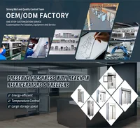 Réfrigérateur congélateur vertical vertical commercial à quatre portes de grande capacité en acier inoxydable pour la cuisine 6