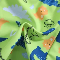 Hedgehog Bathing Suit Toddler Kids Infant Baby Boys Summer Print Shorts Beach Swimwear Swimming Trunks Boys Bathing Suits Size 8 4