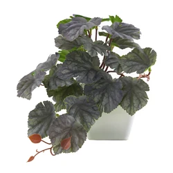 Elegant Artificial Greenery in Stylish Pot - Versatile Decor - 18cm (O)