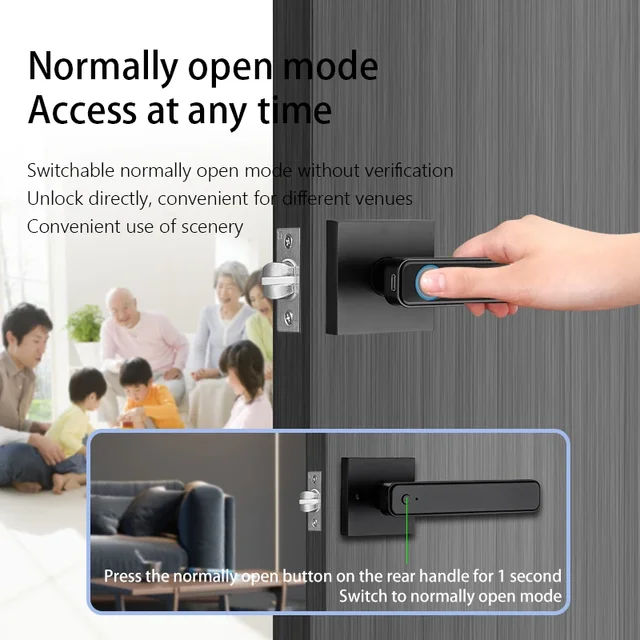 Biometric Fingerprint Smart Home Door Lock Password Electronic Digital Lock TUYA/TTLOCK/No APP Control Entry Door Knobs Lock 4