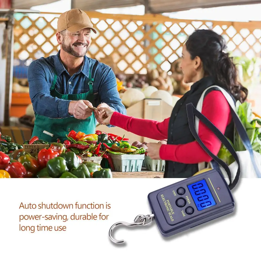 40kg x 10g Mini Digital for fishing Scale-Portable Electronic Weighting Tool for Travel, Hanging & Outdoor Use