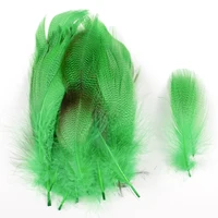 50pcs Mallard Flank Feathers For Fly Tying 4